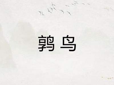 鹑鸟