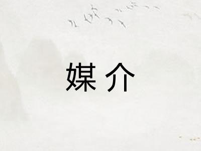 媒介