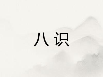 八识 八识