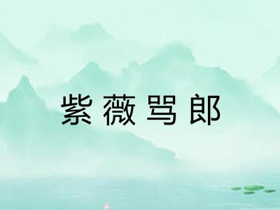 紫薇骂郎 紫薇骂郎