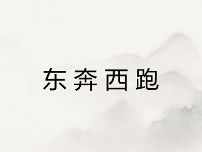 东奔西跑
