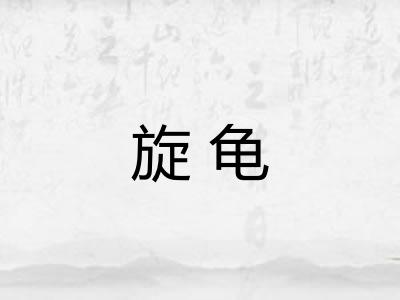 旋龟 旋龟