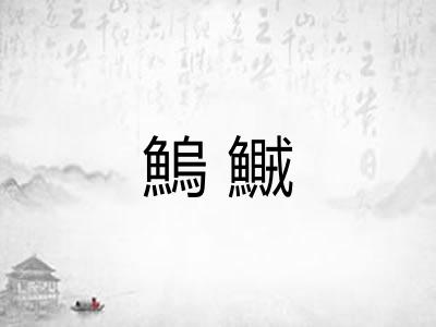 鰞鱡