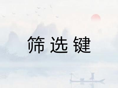 筛选键