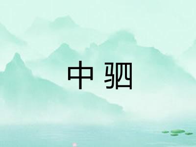 中驷