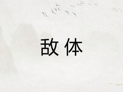 敌体