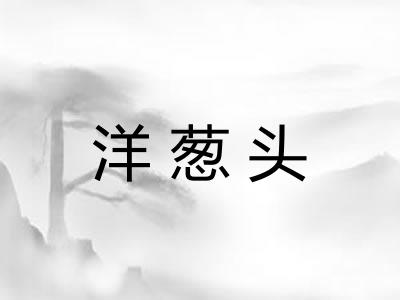 洋葱头 洋葱头