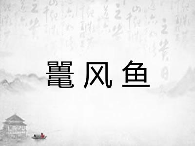 鼍风鱼