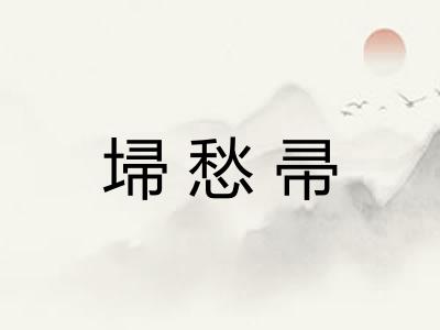 埽愁帚