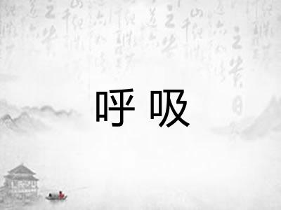 呼吸 呼吸