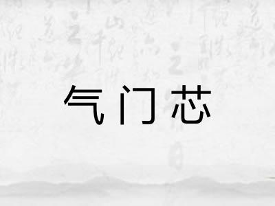 气门芯