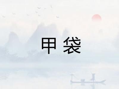 甲袋
