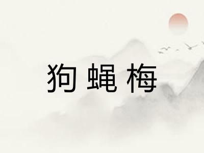 狗蝇梅