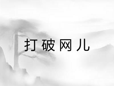 打破网儿