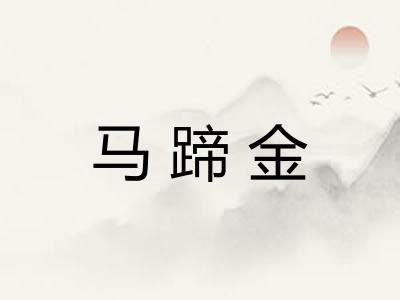 马蹄金