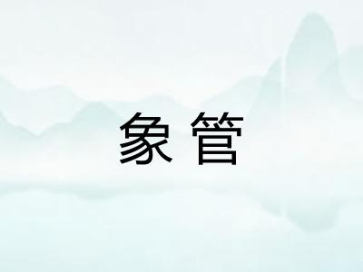象管