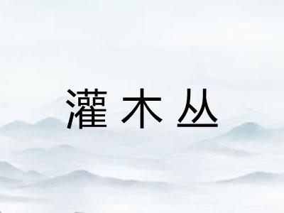 灌木丛