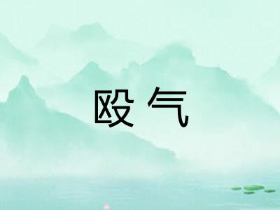 殴气