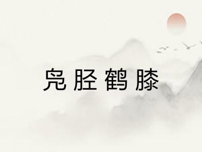凫胫鹤膝
