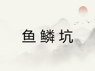 鱼鳞坑 鱼鳞坑