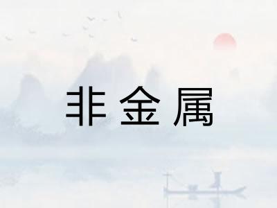 非金属