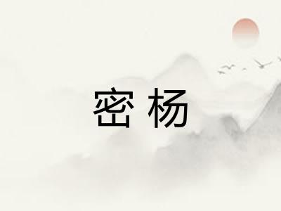 密杨