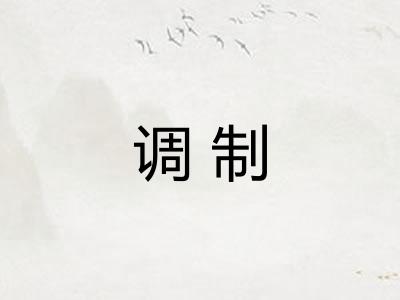 调制 调制