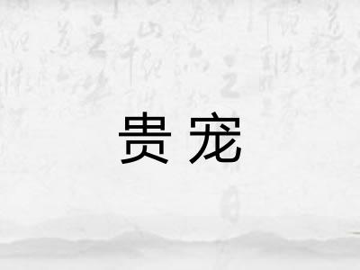 贵宠 贵宠