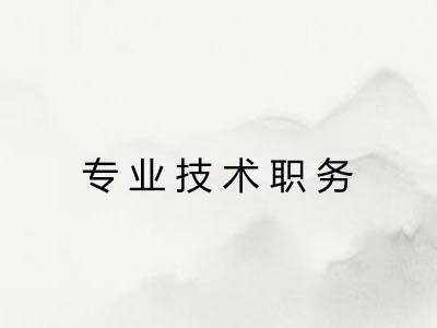 专业技术职务