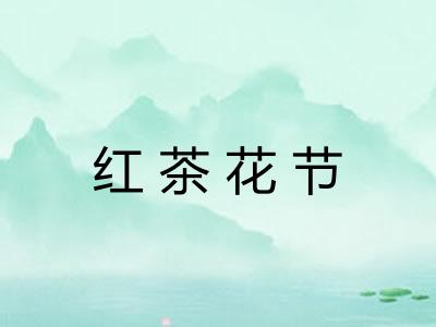 红茶花节
