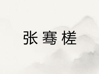 张骞槎