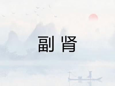 副肾