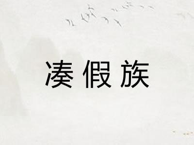 凑假族