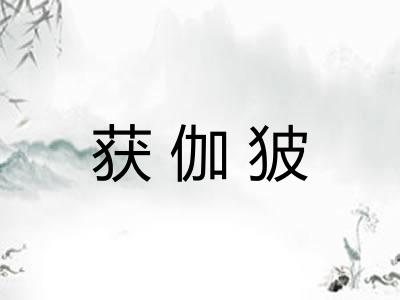 获伽狓