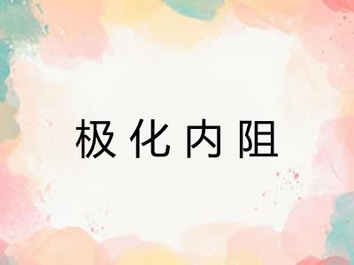 极化内阻