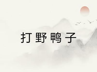 打野鸭子 打野鸭子