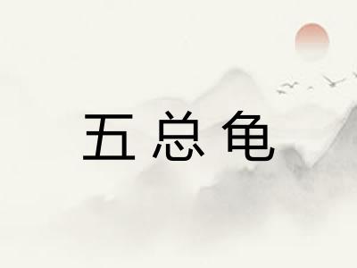 五总龟