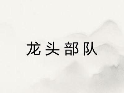 龙头部队