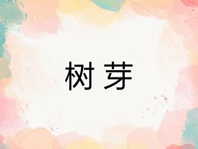 树芽
