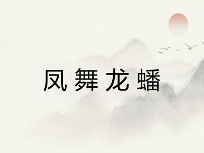 凤舞龙蟠