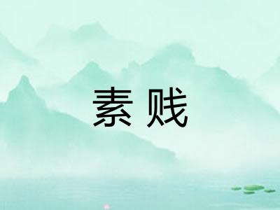 素贱