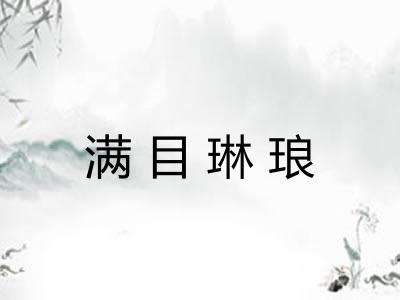 满目琳琅