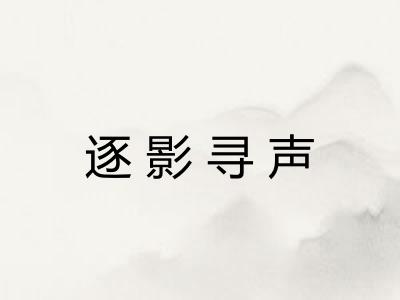 逐影寻声