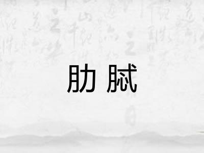 肋脦