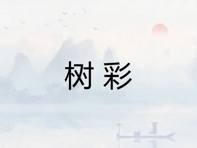 树彩 树彩