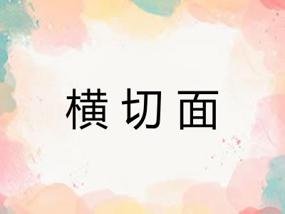 横切面 横切面