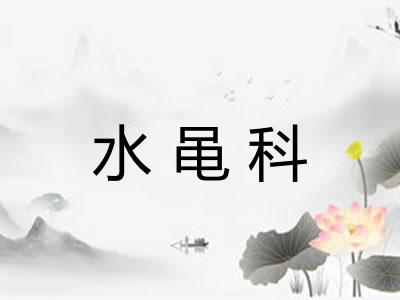 水黾科 水黾科