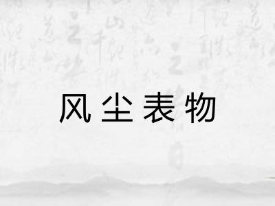 风尘表物 风尘表物