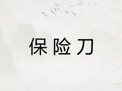 保险刀