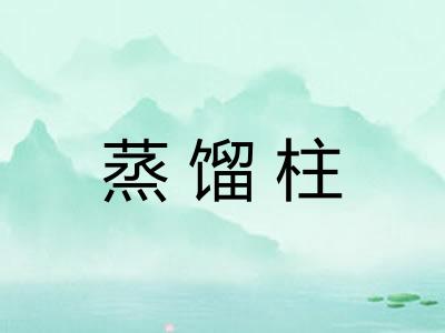 蒸馏柱